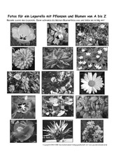 Leporello-Pflanzen-A-Z-Fotos-SW-1.pdf